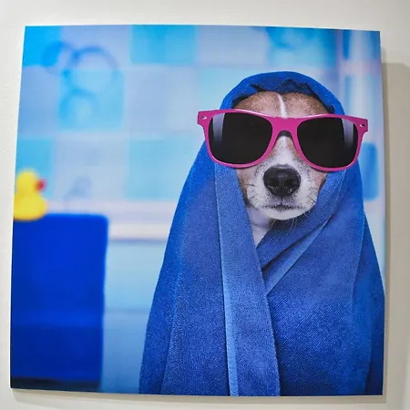 Inselzeit 1 Appartement *